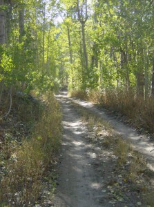 Marlette Lake 2